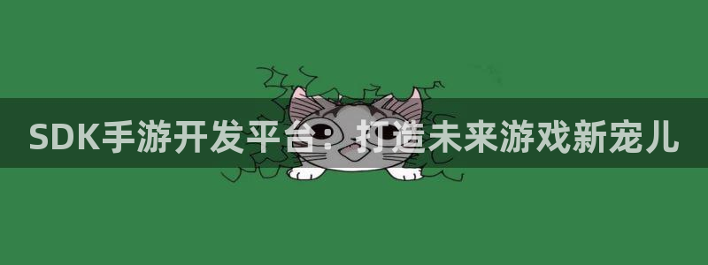 摩根娱乐这个平台怎么样啊：SDK手游开发平台：打造未来游戏新