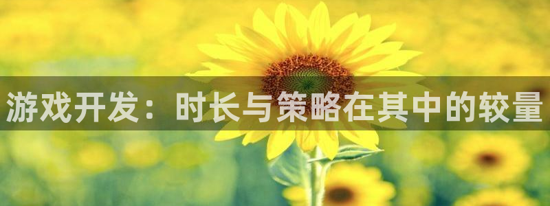 摩根娱乐网址是多少：游戏开发：时长与策略在其中的较量