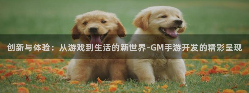 摩根娱乐网址：创新与体验：从游戏到生活的新世界-GM手游开发