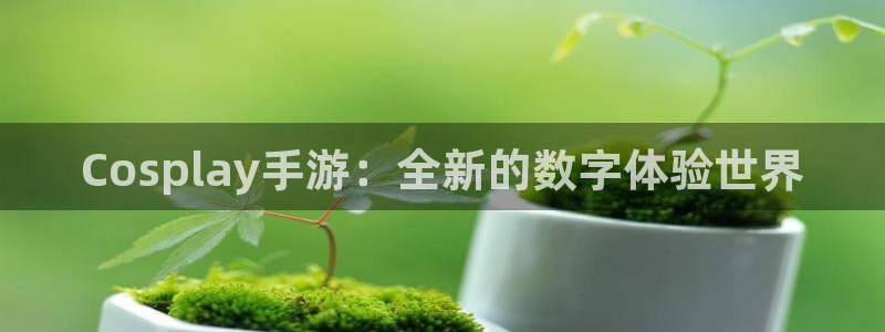 摩根娱乐app下载安装最新版：Cosplay手游：全新的数字