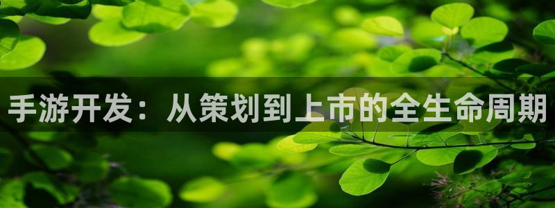 摩根娱乐app下载官网：手游开发：从策划到上市的全生命周期