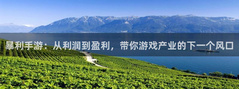 摩根娱乐这个平台怎么样啊：暴利手游：从利润到盈利，带你游戏产