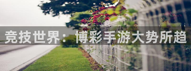 摩根娱乐挂机项目怎么样：竞技世界：博彩手游大势所趋