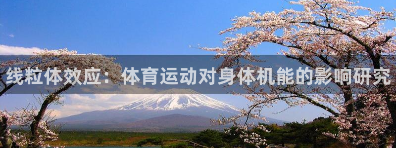 球客岛