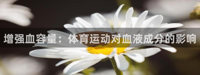 球客岛