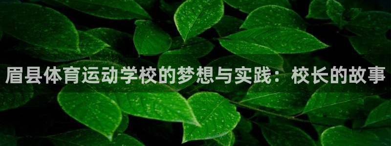 球客岛