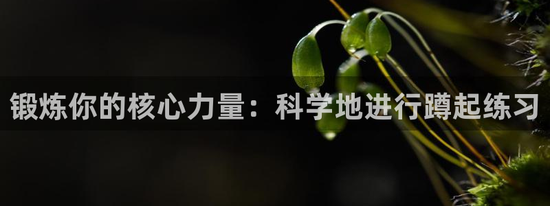 球客岛