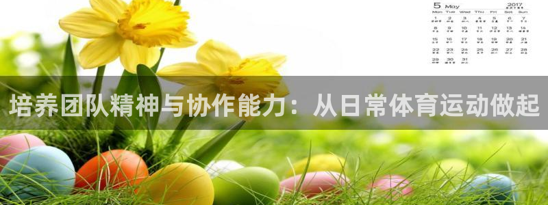 球客岛